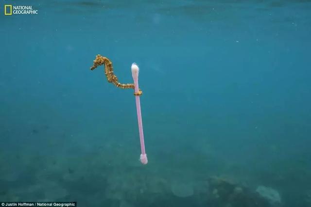 《國(guó)家地理》聚焦 “塑料星球”,人類之殤！